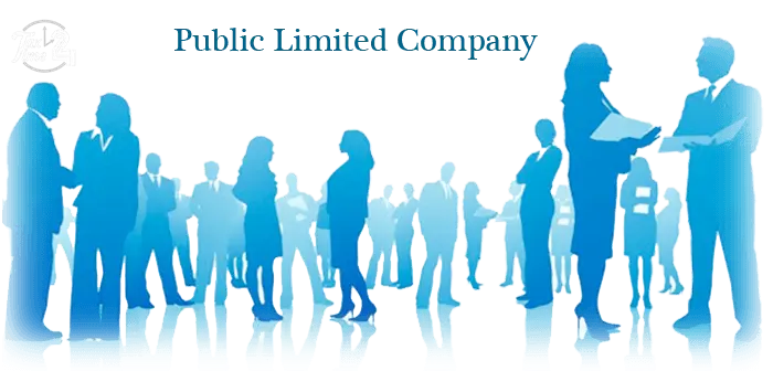 Elevate Your Business to New Heights with Public Limited Company